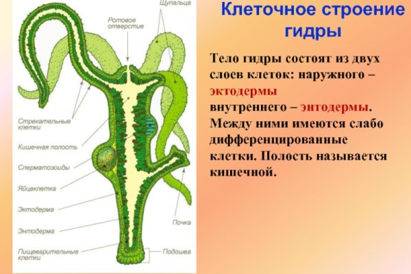 Кракен как попасть