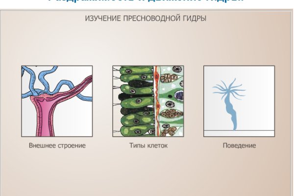 Ссылка на кракен 14ат