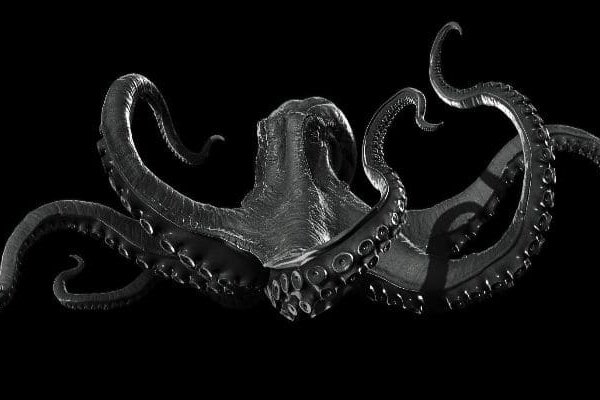 Kraken 14 at